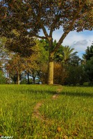 /album/adaloures/a1-jpg/