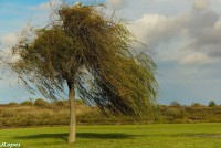 /album/adaloures/a6-jpg/