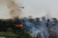 /album/adaloures/a9-jpg/