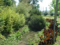 /album/adaloures/a10-jpg/