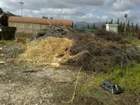 /album/adaloures/a11-jpg/