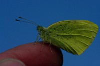 /album/adaloures/a12-jpg/