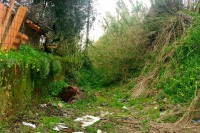 /album/adaloures/a19-jpg/